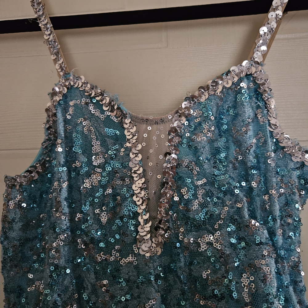 Women/Teens Sparkling Blue Princess/Fairy/Ballet Costume - Picture 8 of 13